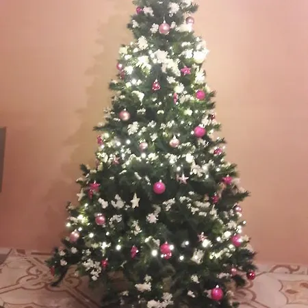 Rubint Vendeghaz Guest house *